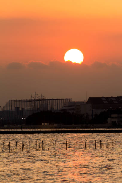 istock Dusk of autumn at seaside park 868588528