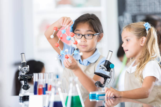 due partner di laboratorio scientifico dell'età elementare studiano il modello della struttura molecolare - educazione di scuola privata foto e immagini stock