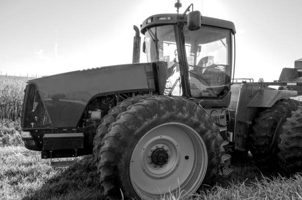 istock Tractor in a Corn Field Grayscale Photo 868595994