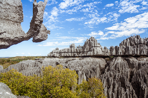The great Tsingy de Bemaraha of Madagascar in the Tsingy de Bemaraha Integral Nature Reserve of UNESCO