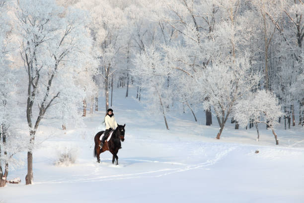 Pretty woman riding her horse through snow at Xmas morning