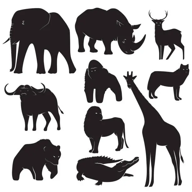 Vector illustration of collection of wild animal silhouettes