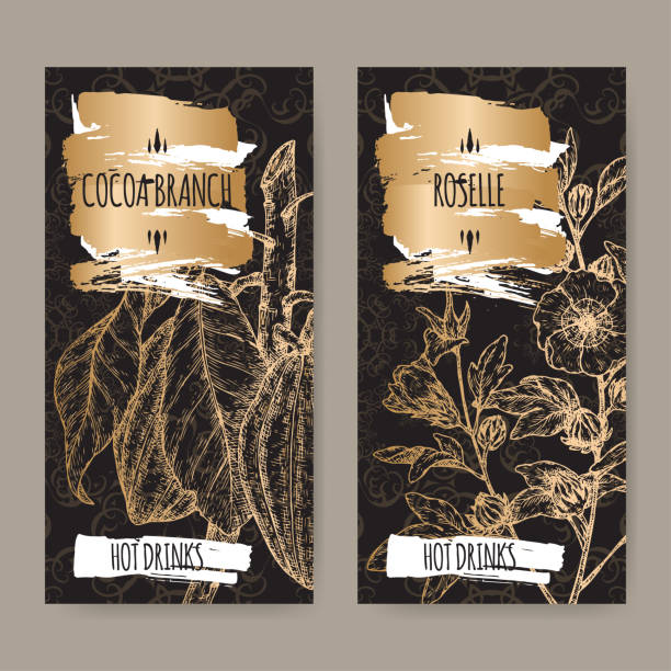 Set of two black labels with Roselle aka Hibiscus sabdariffa and Cocoa tree aka Theobroma cacao branch sketch. Set of two black labels with Roselle aka Hibiscus sabdariffa and Cocoa tree aka Theobroma cacao branch sketch. Hot drinks collection. Great for cafe, bars, tea ads. theobroma cacao flower stock illustrations