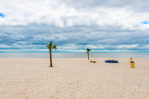 Palm Trees on Beach in Pass Christian, Mississippi, USA.