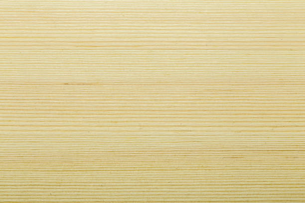 istock Wood texture background. Surface of conifer tree wood 868612346