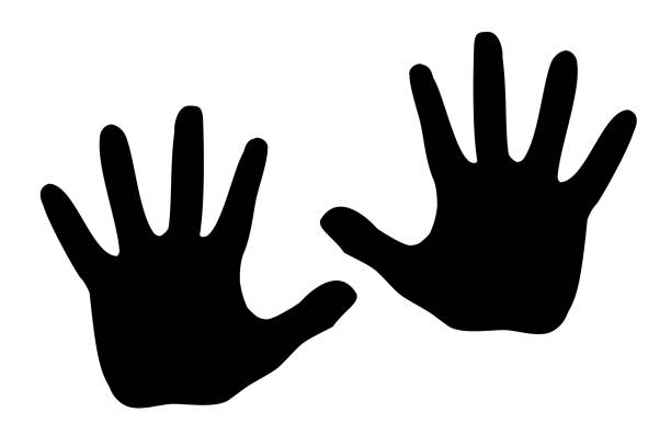 czarna sylwetka model palmy ludzi. ręka, odizolowana na białym tle. znak stopu. wektor - handprint human hand pattern white background stock illustrations