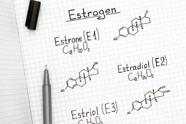 Chemical formulas of naturally occurring Estrogens - estrone (E1), estradiol (E2), estriol (E3) with black pen. Chemical formulas of naturally occurring Estrogens - estrone (E1), estradiol (E2), estriol (E3) with black pen. Close-up. estrogen photos stock pictures, royalty-free photos & images