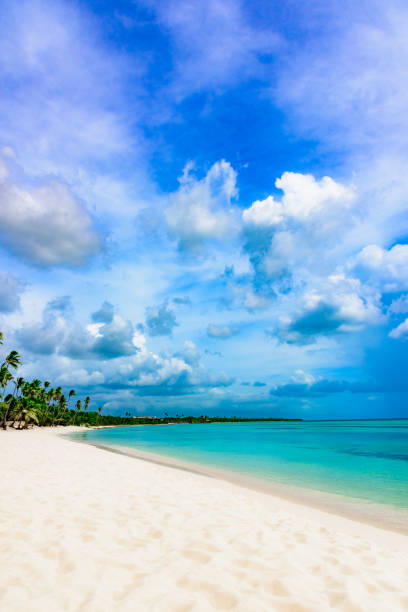 istock paradise tropical beach palm the Caribbean Sea 868624018