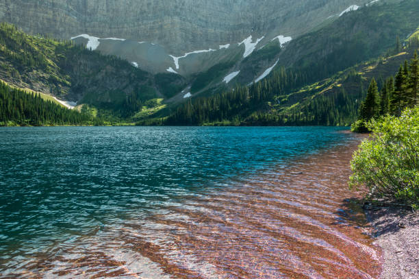 Alderson lake in Waterton national park, Alberta, Canada stock photo