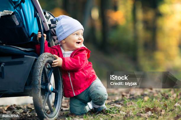 Baby Boy Spielspaß Im Herbstlichen Wald Mit Kinderwagen Im Freien Stockfoto und mehr Bilder von Sportkinderwagen