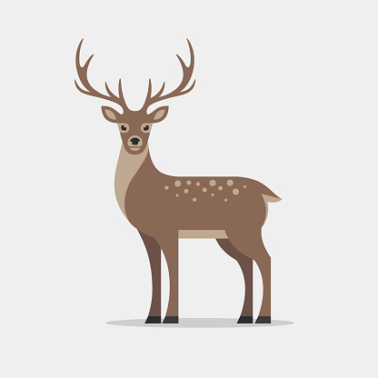 Deer illustration in flat style. Reindeer icon.