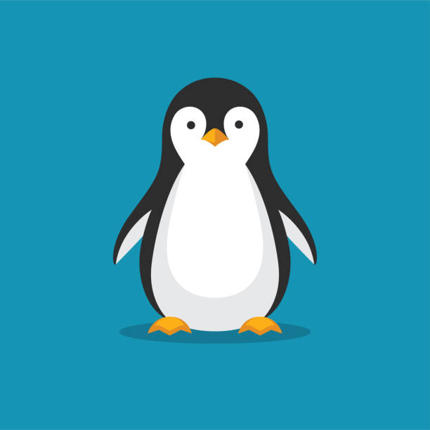 ilustraciones, imágenes clip art, dibujos animados e iconos de stock de icono del pingüino lindo estilo plano. - pingüino