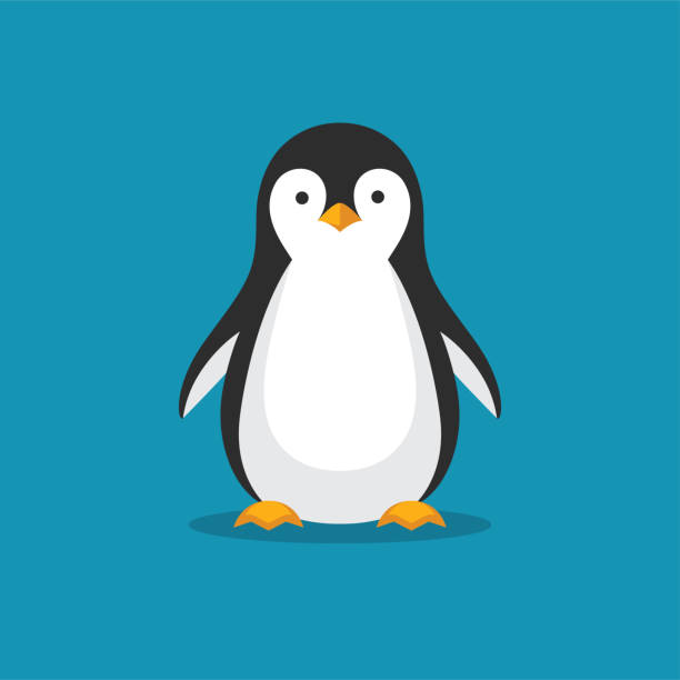 bildbanksillustrationer, clip art samt tecknat material och ikoner med söt pingvin ikonen i platt stil. - pingvin