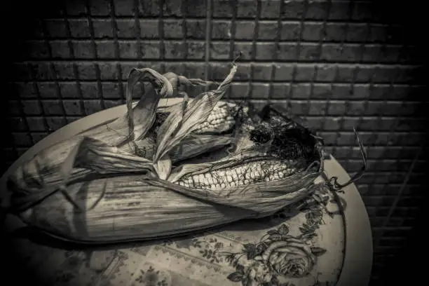 Two cobs of corn on a plate in black and white