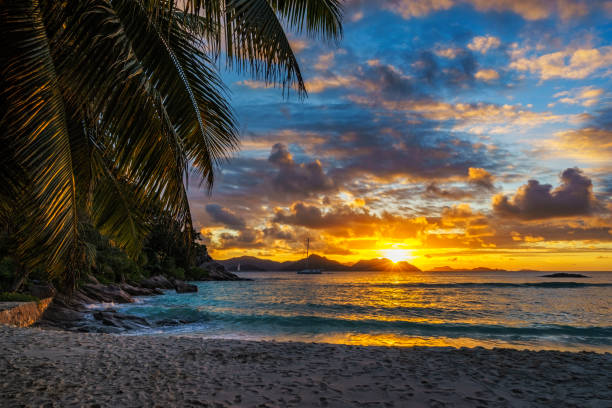istock Beautiful romantic sunset on paradise beach at anse severe, la digue, seychelles 5 868652398