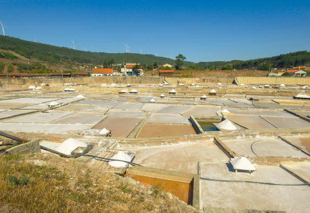istock Production of Salt by Evaporation Saline 868657650