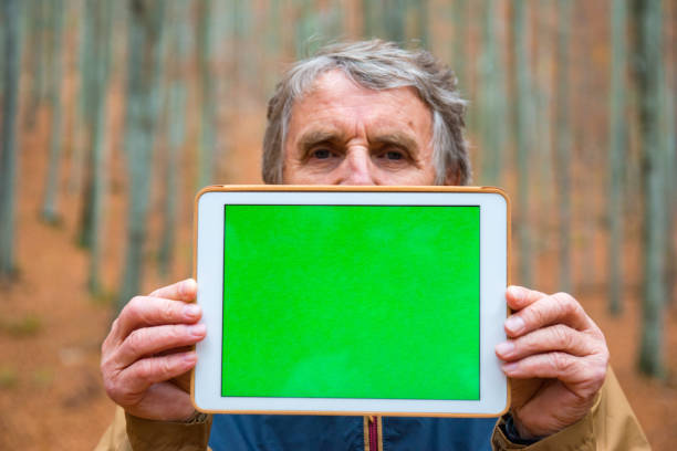 Senior Man Holding Digital Tablet with Green Screen and Partly Hiding his Face, Autumnal Beech Forest, Europe Senior man holding digital tablet with green screen in front and partly hiding his face in autumnal beech forest, Europe. person holding frame over face stock pictures, royalty-free photos & images