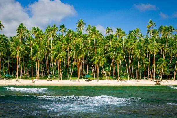 istock Tourism Fiji 868657772