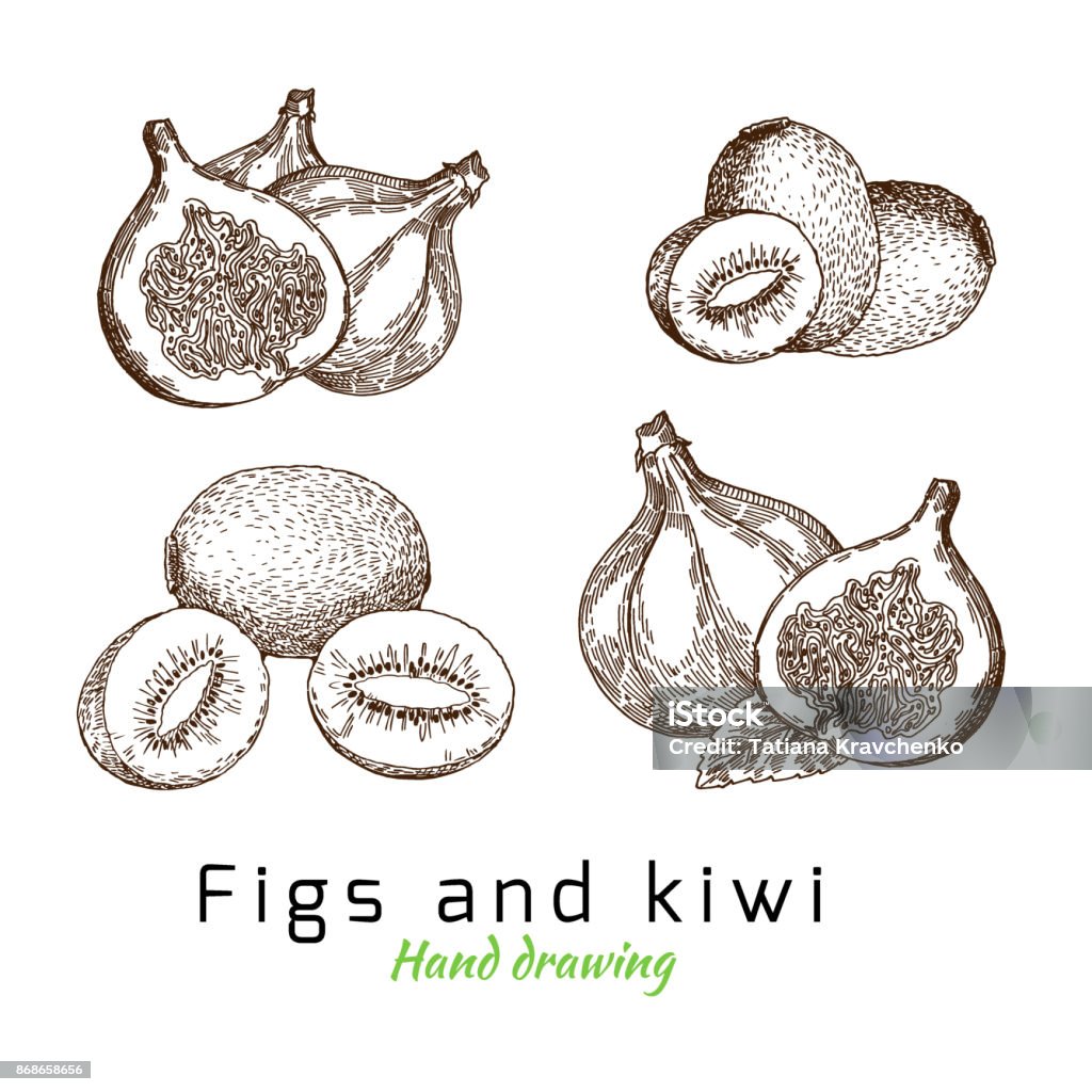 Fichi e kiwi, disegno a mano vettoriale - arte vettoriale royalty-free di Frutto Kiwi