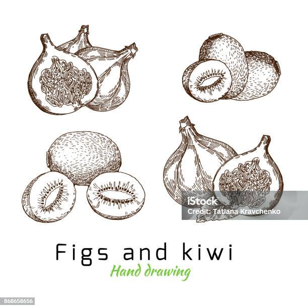 Fichi E Kiwi Disegno A Mano Vettoriale - Immagini vettoriali stock e altre immagini di Frutto Kiwi - Frutto Kiwi, Disegnare, Fico