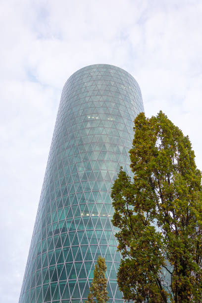 istock The Westhafen tower at the river Main in Frankfurt with a tree in front on a cloudy day 868659430