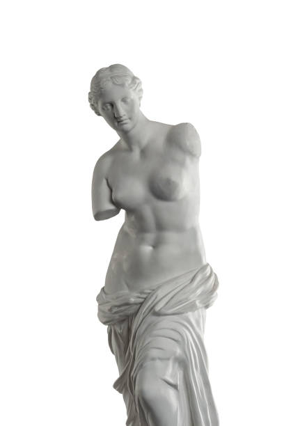 escultura de venus de yeso sobre un fondo blanco, yeso - statue women sculpture italian culture fotografías e imágenes de stock
