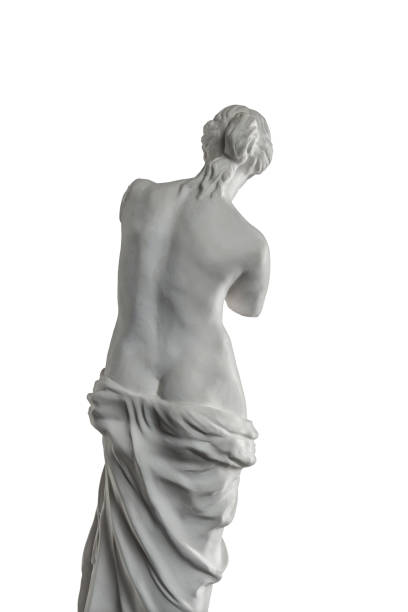 흰색 배경에, 석고 비너스 석고 조각 - sculpture women fine art statue marble 뉴스 사진 이미지