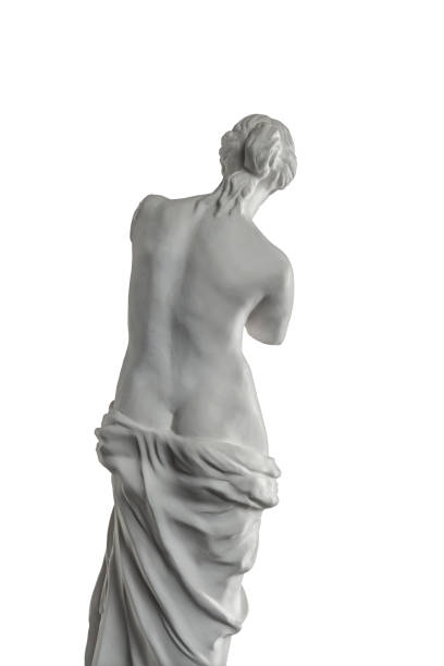 escultura de gesso de vênus em um fundo branco, gesso - statue women sculpture italian culture - fotografias e filmes do acervo