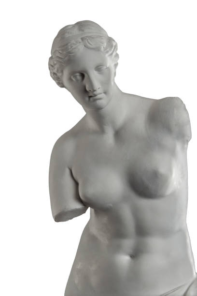 흰색 배경에, 석고 비너스 석고 조각 - sculpture women fine art statue marble 뉴스 사진 이미지