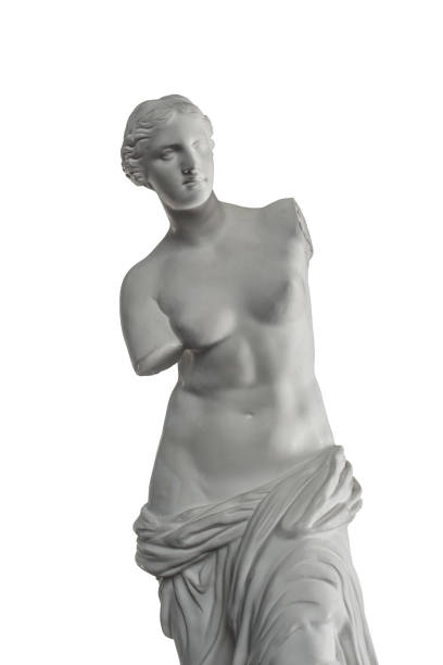 escultura de gesso de vênus em um fundo branco, gesso - statue women sculpture italian culture - fotografias e filmes do acervo