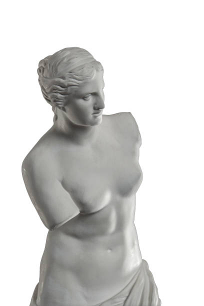 흰색 배경에, 석고 비너스 석고 조각 - sculpture women fine art statue marble 뉴스 사진 이미지