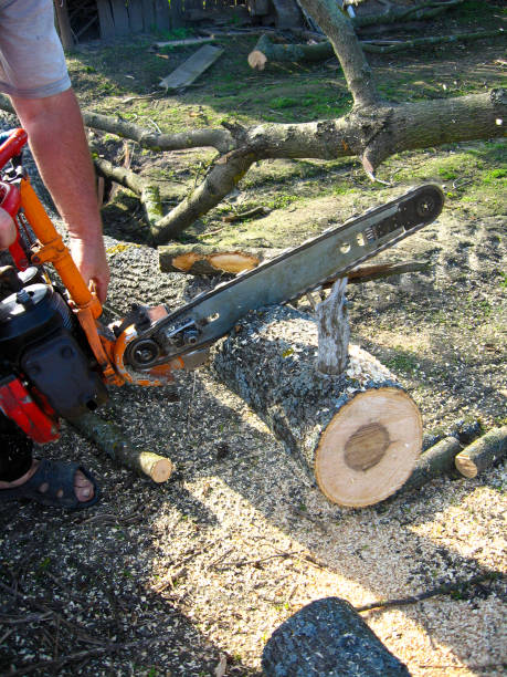 istock man sawing the firewoods by petrol saw 868663064