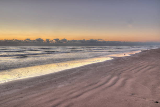 A few saegulls on the beach at sunrise on South Padre Island