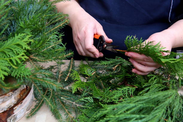 istock Florist performs decoration with green thuja twigs. 868670478