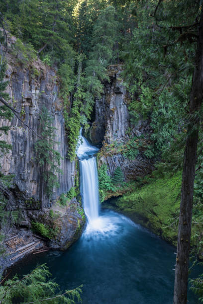 istock Green Forest Surrounds  Toketee Falls 868671780