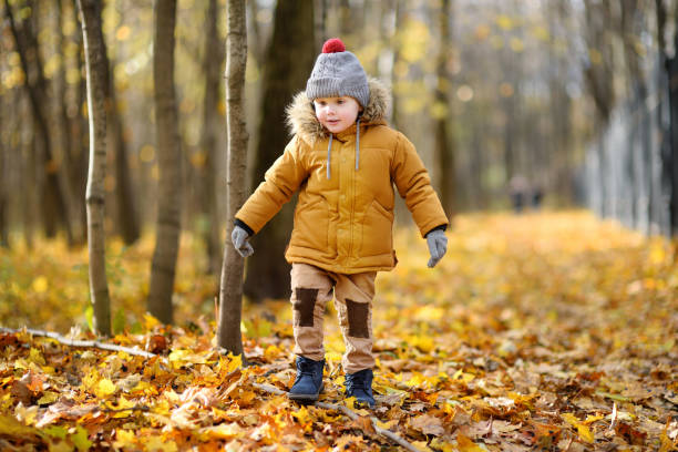 istock Little child walking in the forest at autumn day 868676434