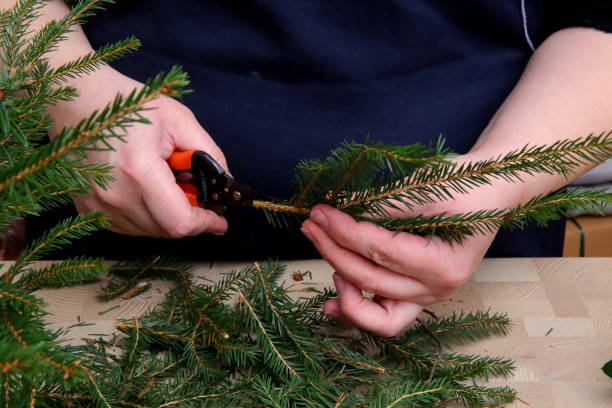 istock Florist performs decoration with green thuja twigs. 868676622