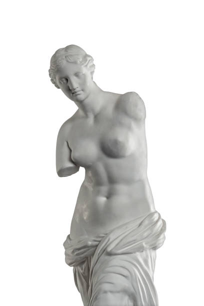 escultura de gesso de vênus em um fundo branco, gesso - statue women sculpture italian culture - fotografias e filmes do acervo