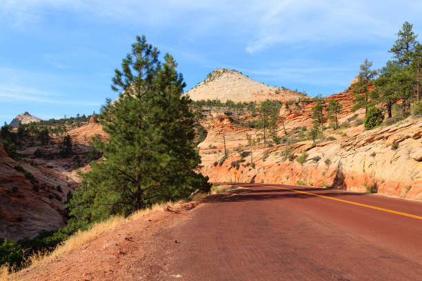 istock Panorama from Zion National Park 868679028