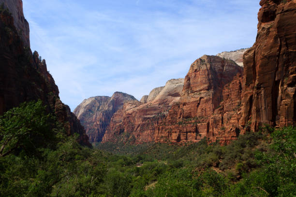 istock Panorama from Zion National Park 868679772