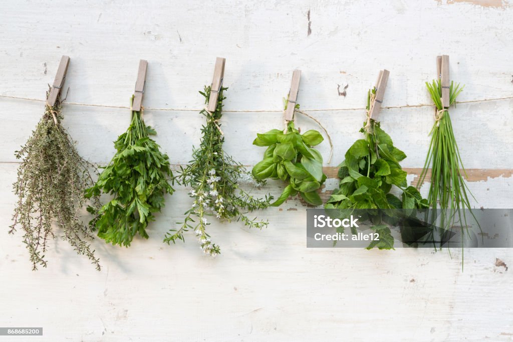 Herb bouquets suspendus sur corde - Photo de Plante aromatique libre de droits