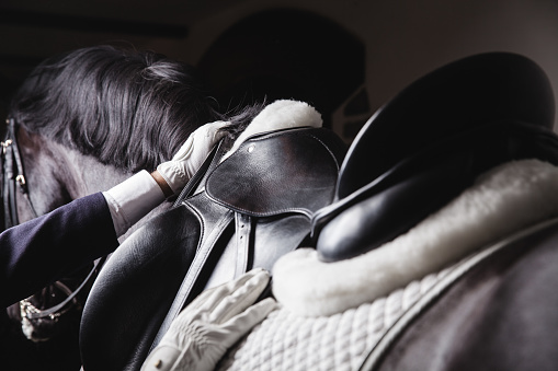 Adult male jokey saddle up horse before the equesterian ride - preparing equipment for training or competition. Unrecognisable closeup view, dramatic light, monochrome colour gamma