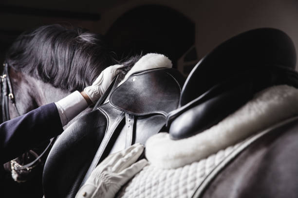 sela de jóquei a cavalo para o passeio de equesterian - leather harness - fotografias e filmes do acervo