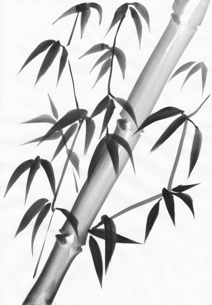 Bamboo leaves and stem painting vector art illustration
