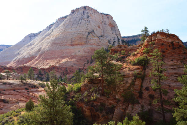 istock Panorama from Zion National Park 868689574