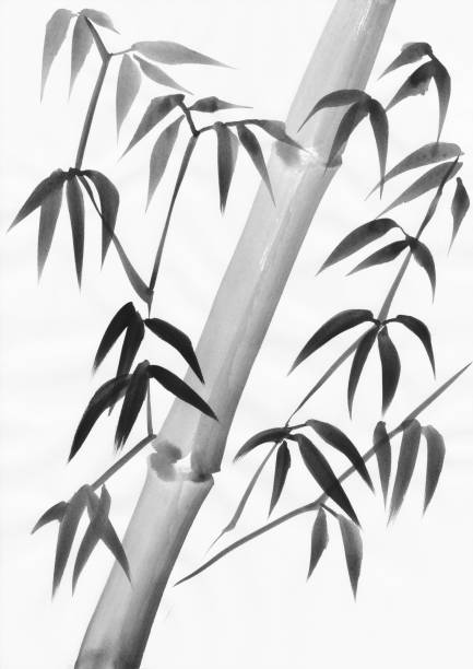 Bamboo leaves and stalk painting vector art illustration