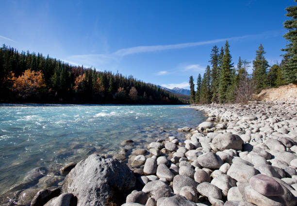 the Athabasca river flows by the Canadian rocky mountains in Alberta, Canada