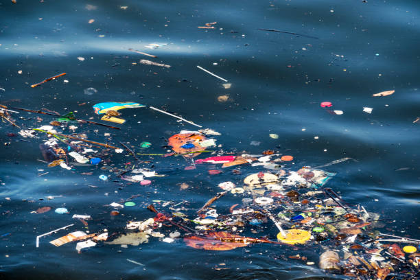 저수시설 오염시킨다 - pollution sea toxic waste garbage 뉴스 사진 이미지