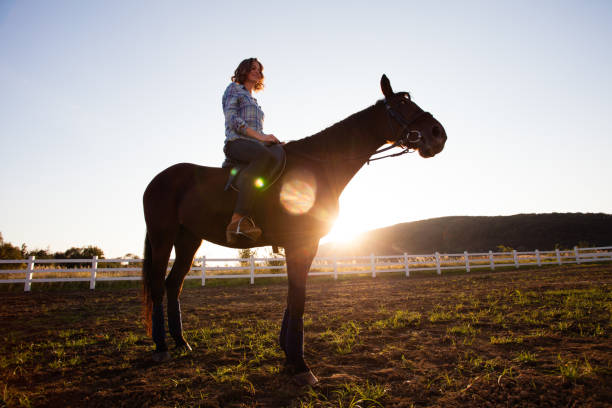istock Evening walk on the horse 868707456