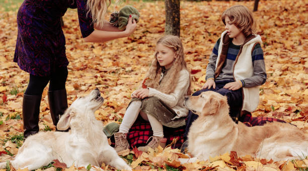istock Family in the autumn 868707552